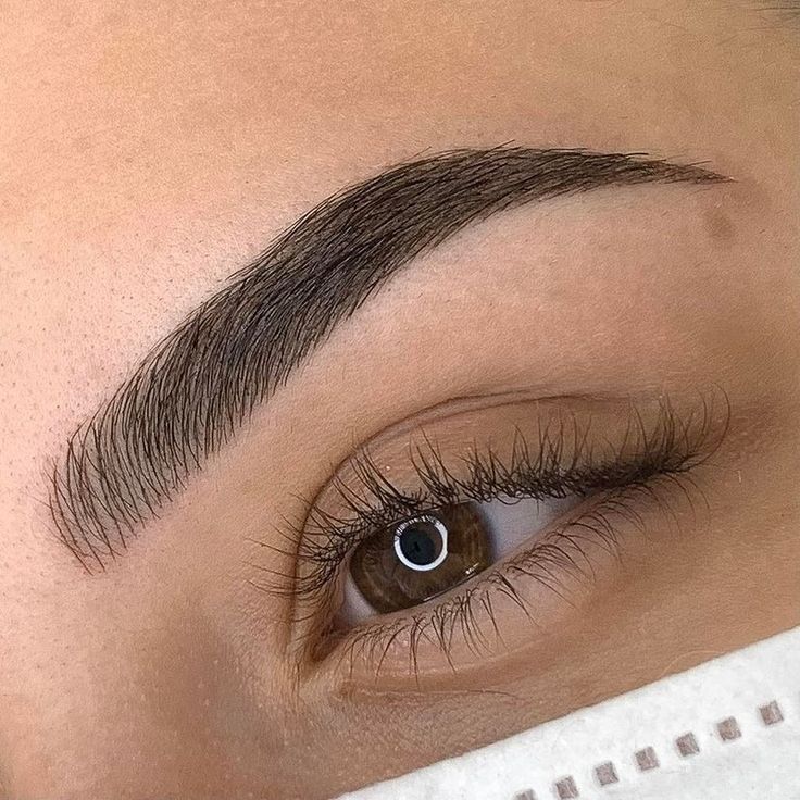 Diseño de Cejas